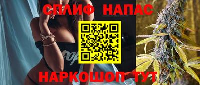 прущие грибы Ставрополь