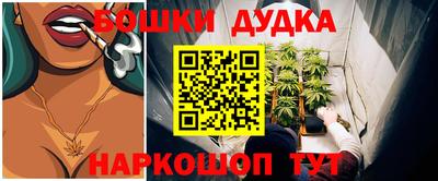 прущие грибы Ставрополь
