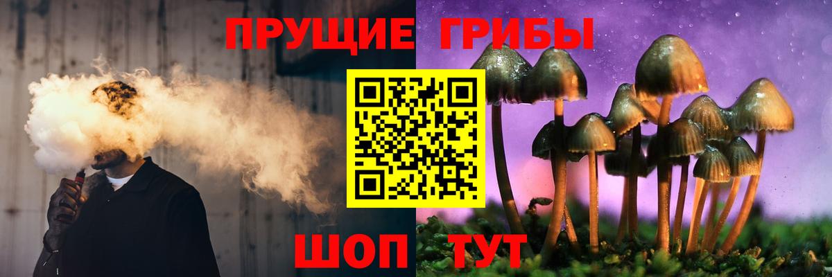 Обнинск  Псилоцибиновые грибы прущие грибы  Вход с VPN 